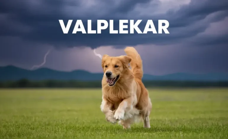 What Is Valplekar and Why Is It Important for Puppies?
