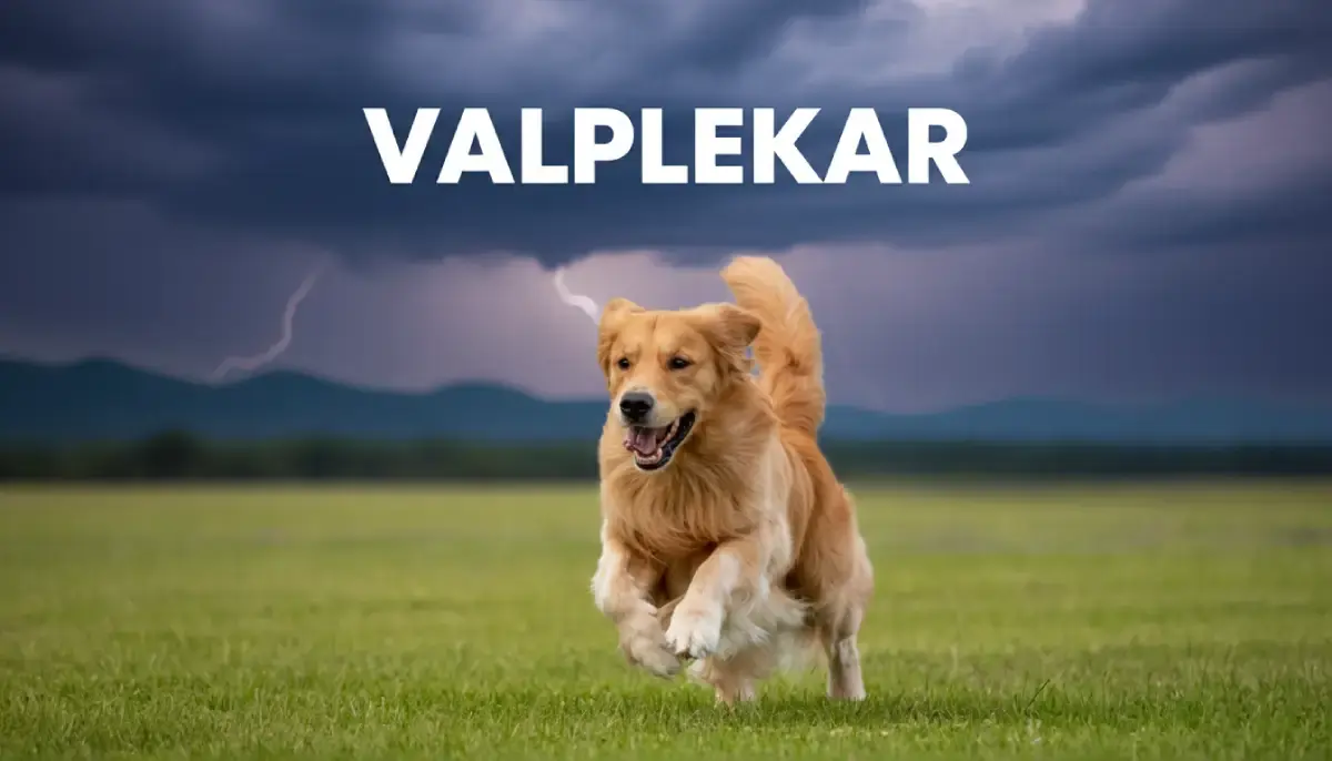 What Is Valplekar and Why Is It Important for Puppies?